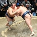 ４１歳・玉鷲　武蔵丸を抜いて単独９位の幕内７０７勝「すごくいい番号。７７７まで７０番勝たなきゃ」