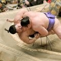 欧勝海が４敗を死守　千秋楽に初優勝の可能性を残す…入幕２場所目で二ケタ白星到達「感覚をつかめている」