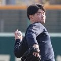 阪神育成・伊藤稜　開幕前に支配下勝ち取る　初の宜野座キャンプスタート、フィジカル強化で万全準備