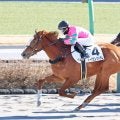 【中山４Ｒ・３歳新馬】９番人気のトーアエレクトラムが豪快差し切り　菅原明良騎手「これからまだまだ良くなる」