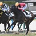 【京都5R新馬戦結果】エピファネイア産駒ペイジャーが人気に応えてV 兄はピクシーナイト