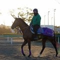 日曜中山競馬場の注目激走馬…中山１１Ｒアメリカジョッキークラブカップ・Ｇ２