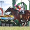 【京都９Ｒ・河津桜賞】ジョバンニの半妹ソルパッサーレが差し切りＶ　浜中俊騎手「しぶとく脚を使ってくれた」