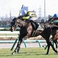 【中山９Ｒ・若竹賞】ブレナヴォンが１番人気に応える勝利　松山弘平騎手「まだまだ成長できる」