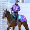 【アメリカＪＣＣ】また４歳世代！　ショウヘイが重賞２勝目　ダービー３着馬は９８年メジロブライト以来のＶ