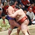 熱海富士が快勝で３敗死守！Ｖ行方は安青錦の結果次第　４敗４力士のＶ可能性は消える