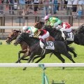 ２１年ダービー馬シャフリヤールの初年度産駒が誕生　一度は種牡馬引退も一転して続行