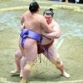 熱海富士が勝ち、３敗を守る　安青錦が敗れれば初優勝決定、勝つと両者での優勝決定戦　４敗力士に優勝のチャンス消える