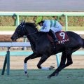 AJCC ショウヘイが今年の初陣を制す