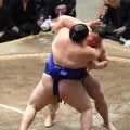 義ノ富士が勝ち越して初の殊勲賞　NHKインタビューでは「最後はカメラ目線！サイコーやん」