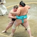 安青錦が勝ち、熱海富士との優勝決定戦へ　琴桜に勝利　２０年ぶりの新大関優勝へあと１勝