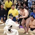 新大関安青錦が２場所連続優勝、春場所は綱とりへ　新関脇から連続Ｖは双葉山以来89年ぶり