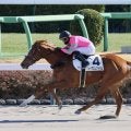 【新馬/中山4R】9番人気の伏兵トーアエレクトラムの豪快な追い込みが炸裂