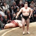 「ジャンケン」豊昇龍、大の里、安青錦…令和の「三すくみ」にＸ興奮！得意、苦手…各対戦成績は