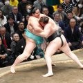 安青錦、琴桜を破って優勝決定戦へ　大関同士の一番制す「普通の力士なら頭が…」琴風浩一さん