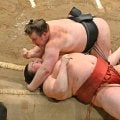 「あああ～」また決定戦Ｖ逸の熱海富士が落胆「いや～いや～」とうなり声「ゆうしょう…やっべえ」「甘いな～まだ」安青錦の首投げで仰向けに