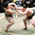 史上最強の新弟子・旭富士、序ノ口V　優勝決定戦で同部屋の蒼富士破る「緊張はなかった」