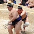 大の里は前日の安青錦戦完勝から一転…苦手の豊昇龍にまたも敗れる「これを糧に大阪に向けて」