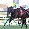 【アメリカＪＣＣ】ショウヘイ重賞２勝目　年長馬と初対決で圧倒　川田騎手「今年が楽しみになった初戦」