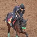 【白富士Ｓ・山下の特注馬】オーロラエックスは広い東京がベスト　牡馬に負けない力がある