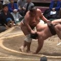 「ひっくり返った」「裏返った」巨漢力士が“ぐるッと”空中一回転 館内騒然 十両復帰を目指す執念の一番