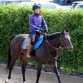 【根岸Ｓ・浅子の特注馬】遅れてきた大物候補ウェイワードアクト　重賞初出走Ｖも十分可能な前走内容