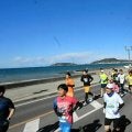 冬晴れのもと、約6600人が疾走　千葉・館山若潮マラソン