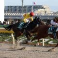 【競走伝】連闘でＧ１勝利、芝Ｇ１馬の砂投入…常識にとらわれない矢作イズムが詰まった「二刀流ホース」への道　２０年根岸Ｓ