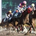根岸S勝ち時計ランキング 1位は約2年半ぶりの復活V