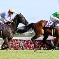 【ＪＲＡ賞授賞式】最優秀スプリンターのサトノレーヴは現役続行で種牡馬入りへ意欲　陣営「もう１年現役を」