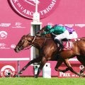 【注目馬動向】カランダガンは同陣営の凱旋門賞馬ダリズとは戦わせない方針　「競い合うことは避けたい」