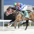 名古屋競馬2025年度表彰発表…ケイズレーヴら6頭が受賞、角田輝也師は151勝で2冠