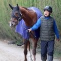 【注目馬動向】クイーンＣへ向かうヒズマスターピースは佐々木大輔騎手と新コンビ