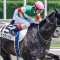 C.ルメール騎手が地方所属馬での中央重賞初制覇なるか 根岸Sでフェブランシェと再タッグ