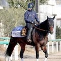【クロッカスＳ】距離短縮と馬具工夫の効果で良血馬オルネーロが巻き返しへ　宮田調教師「より能力が出せる」
