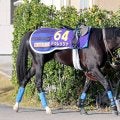 【注目馬動向】ドゥレッツァがドバイ・シーマクラシックに予備登録