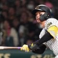 阪神がお披露目した“漆黒ユニ”　右袖に王者の証…重厚デザインに森下翔太も太鼓判