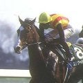 快速牝馬フラワーパークが制した30年前 第1回シルクロードSを回想