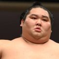 日本相撲協会が引退の８力士を発表　大奄美、琴大龍ら