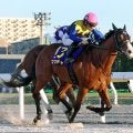 【注目馬動向】ママコチャは初のドバイ遠征へオーシャンＳから始動　池江調教師「叩き良化型ですからね」