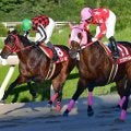【地方競馬】１９年ホッカイドウ３冠馬、１０歳リンゾウチャネルが引退　荒山勝調教師「素晴らしい馬でした」