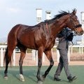 【注目馬動向】１２番人気で睦月Ｓを逃げ切ったレイベリングは阪急杯へ