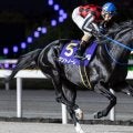 【根岸S】横山典弘騎手が地方所属馬で中央重賞初参戦 大井のサントノーレと初タッグだ