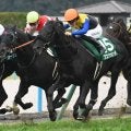 【東京新聞杯想定】ブエナオンダ、オフトレイルなど15頭