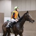 【注目馬動向】Ｇ１・２勝ノームコアの娘ドリームコア　次走クイーンＣの鞍上はルメール騎手