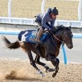 【根岸Ｓ】重賞初出走Ｖへ　ウェイワードアクトは「臨んでいた状態にすでにある」　単走馬なりで十分