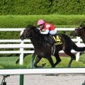 【根岸S出走馬・騎手確定】インユアパレス＆川田将雅騎手、エンペラーワケア＆西村淳也騎手など16頭