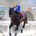【注目馬動向】プロキオンＳで重賞初ＶのロードクロンヌはフェブラリーＳ参戦を正式表明　僚馬ソルパッサーレはチューリップ賞