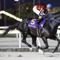 【根岸Ｓ・データ埋蔵金】過去１０年５勝の前走重賞組＆５歳馬　大井の刺客サントノーレが浮上