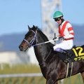 武豊騎手 今週の騎乗馬…ヤブサメが重賞初挑戦